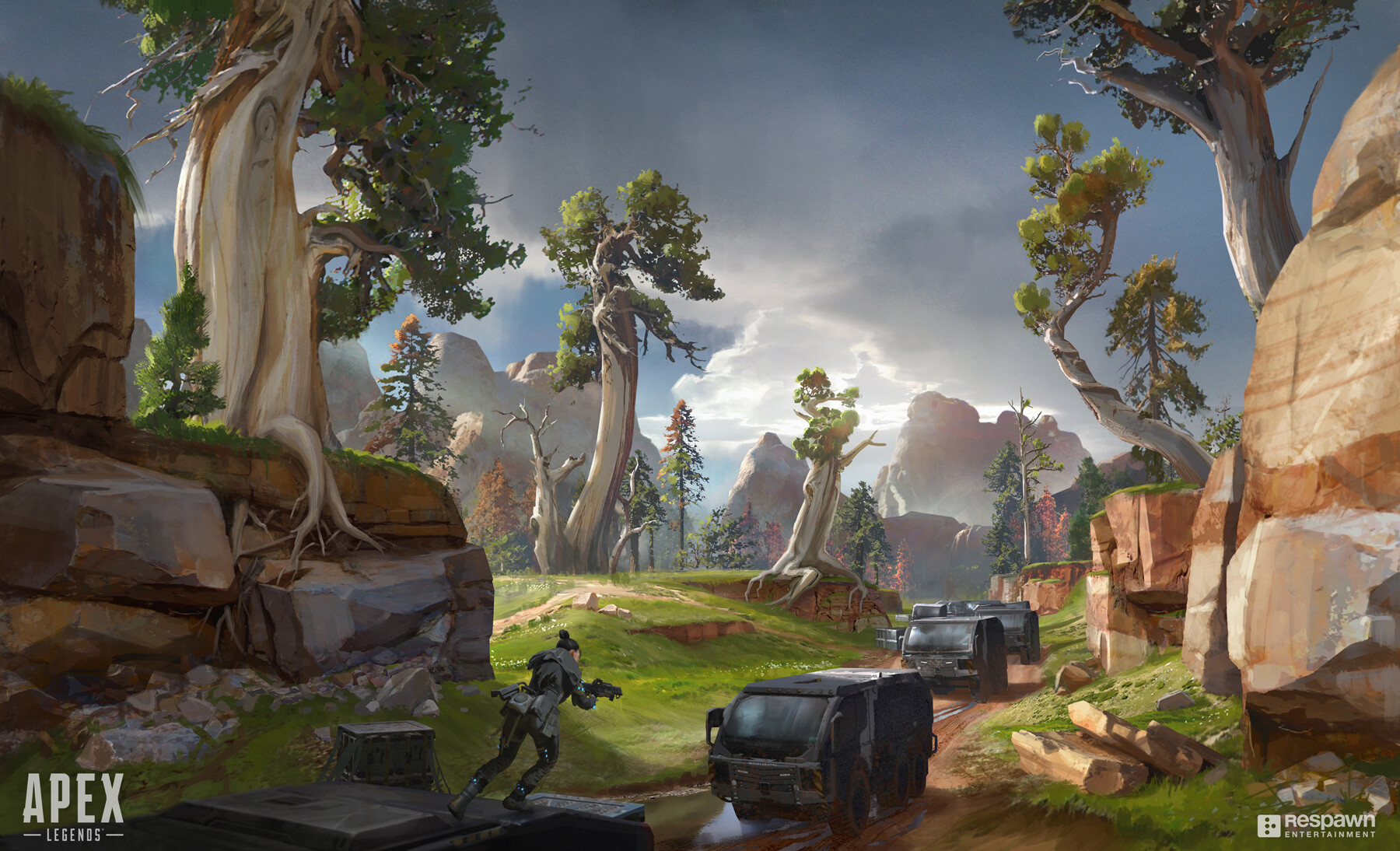 球迷关注和 球迷关注和