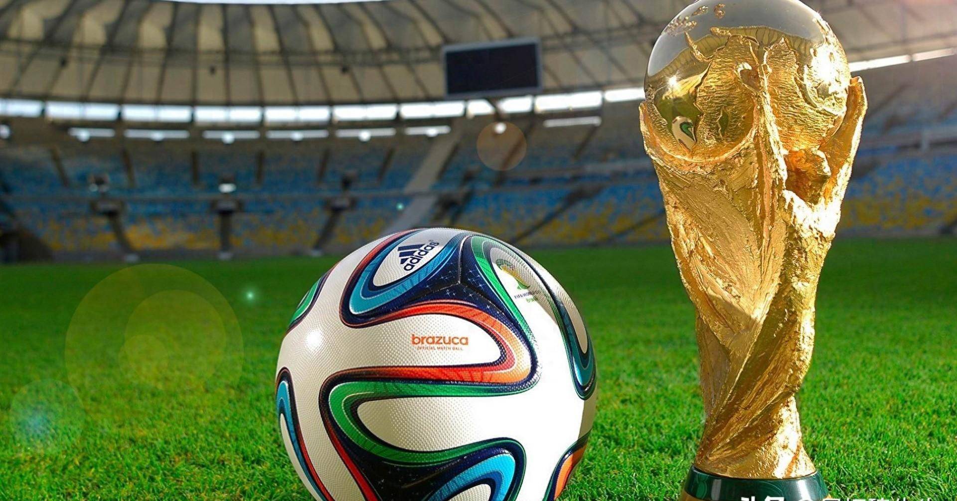 业的团队 业的团队