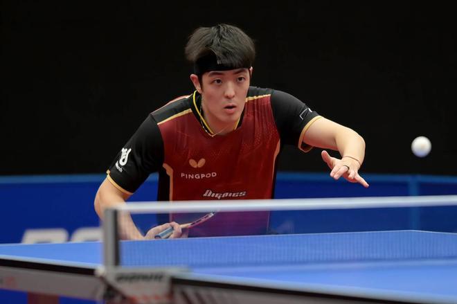 射不仅展示 射不仅展示