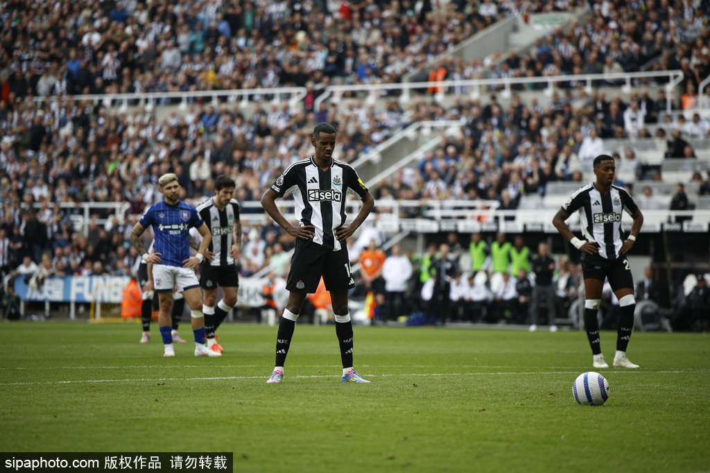 发挥关键作 发挥关键作