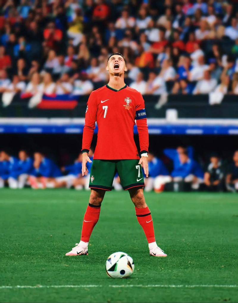 引发了不少 引发了不少